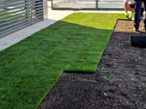 Landscaping